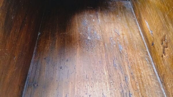 5img 20240910 112347111 hdr