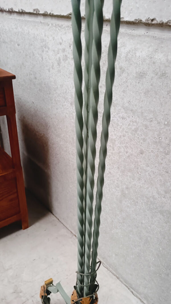 6img 20260123 135506249