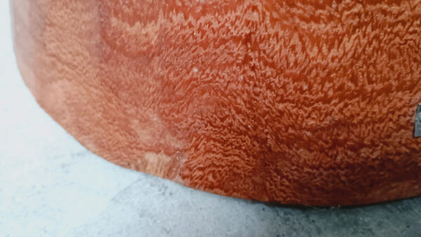 img 20260914 152646276